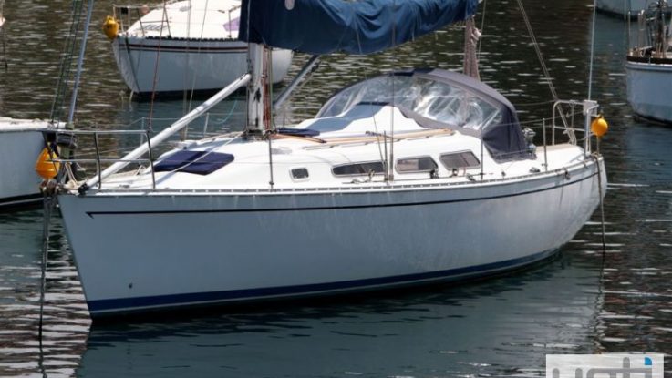 Cavalier 395 - Kahoona - January 2014