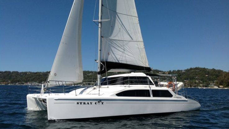 Seawind 1000XL - Stray Cat - June 2014