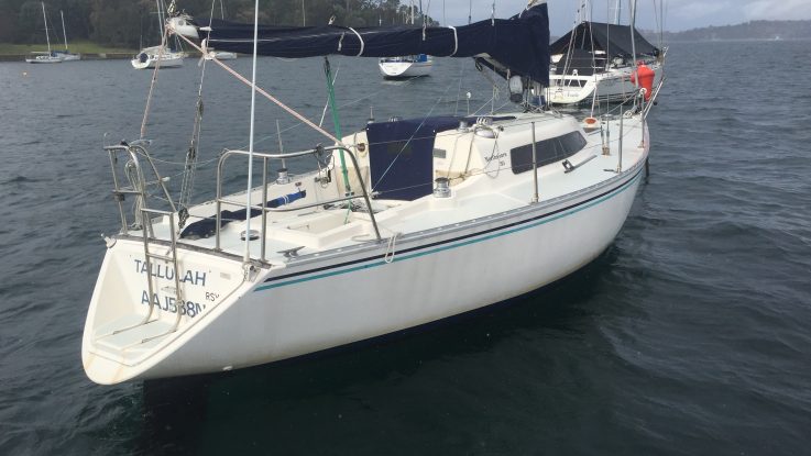 Northshore 30 - Tullulah - August 2015